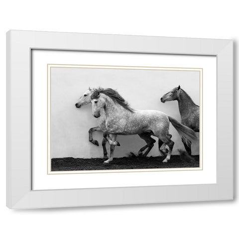 Lining Up White Modern Wood Framed Art Print with Double Matting by Walker, Carol