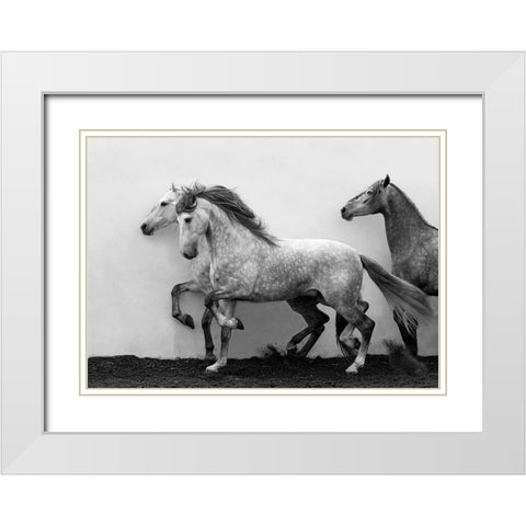 Lining Up White Modern Wood Framed Art Print with Double Matting by Walker, Carol