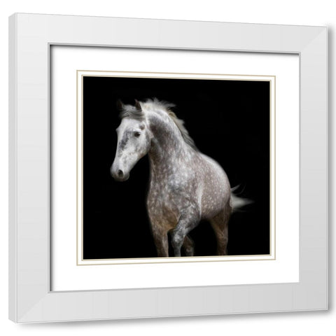 Spotted Horse White Modern Wood Framed Art Print with Double Matting by Walker, Carol