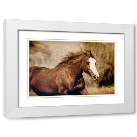 Running Horse White Modern Wood Framed Art Print with Double Matting by Walker, Carol