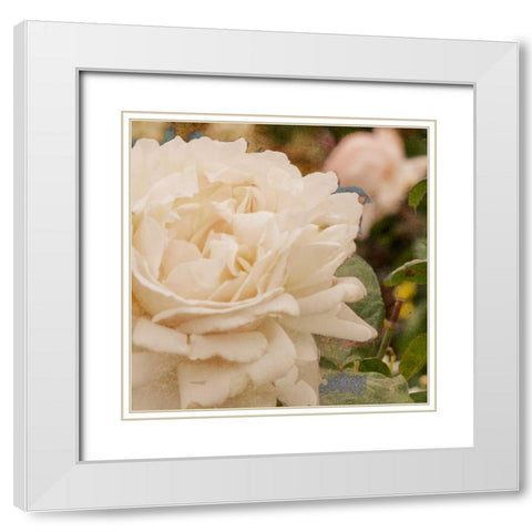 Vintage Rose II White Modern Wood Framed Art Print with Double Matting by Navas, Emily