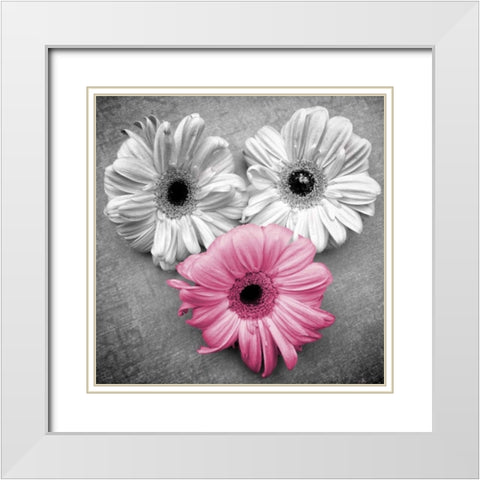 Tropical Floral Bunch Border I White Modern Wood Framed Art Print with Double Matting by Peck, Gail