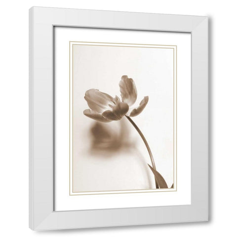 Delicate Floral I White Modern Wood Framed Art Print with Double Matting by Peck, Gail