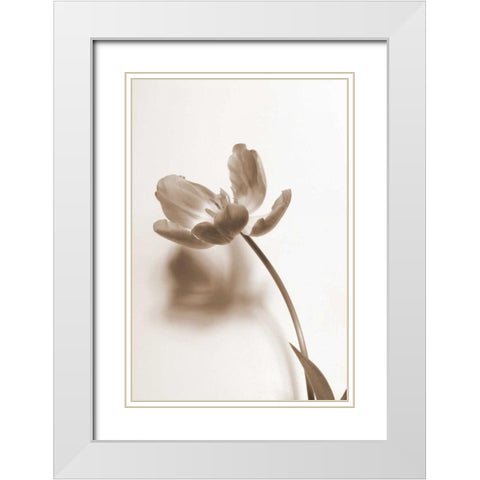 Delicate Floral I White Modern Wood Framed Art Print with Double Matting by Peck, Gail