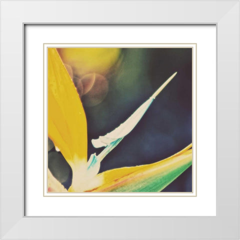 Tropical Floral I White Modern Wood Framed Art Print with Double Matting by Peck, Gail