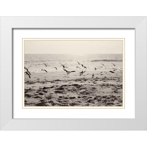Dream of the Beach I White Modern Wood Framed Art Print with Double Matting by Bryant, Susan