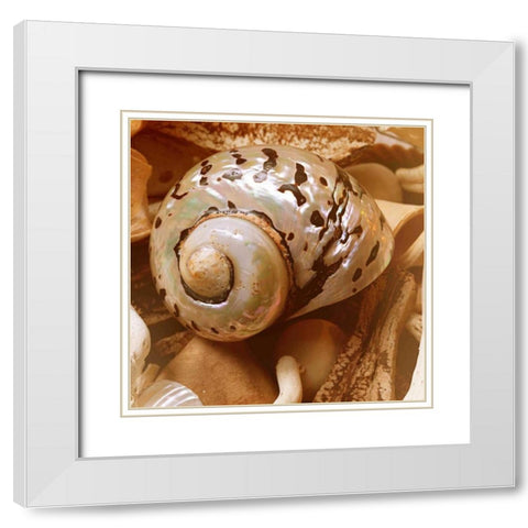By the Seashore Square II White Modern Wood Framed Art Print with Double Matting by Bryant, Susan