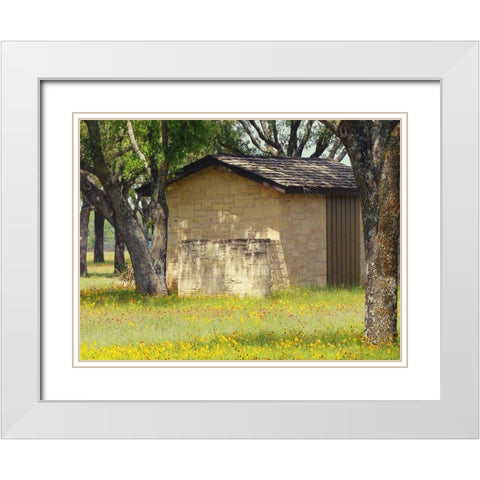 Country Meadow I White Modern Wood Framed Art Print with Double Matting by Peck, Gail
