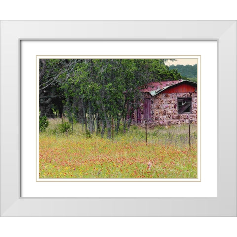 Country Meadow II White Modern Wood Framed Art Print with Double Matting by Peck, Gail