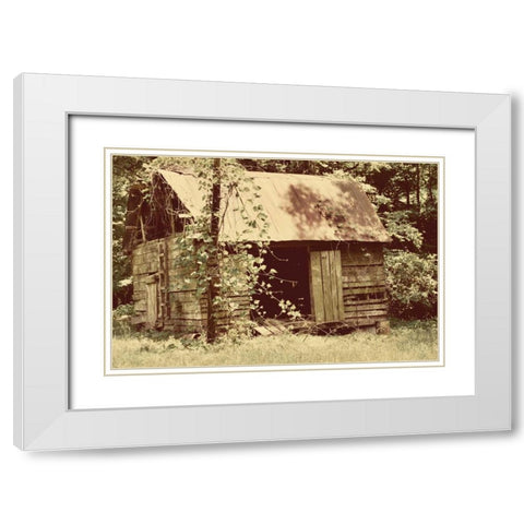 Homestead White Modern Wood Framed Art Print with Double Matting by Peck, Gail