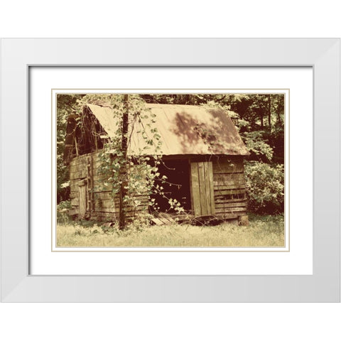 Homestead White Modern Wood Framed Art Print with Double Matting by Peck, Gail