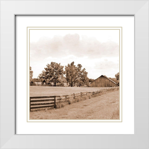Simple Farm Life White Modern Wood Framed Art Print with Double Matting by Mabat, Ynon