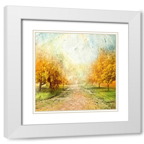 Oak Path White Modern Wood Framed Art Print with Double Matting by Mabat, Ynon