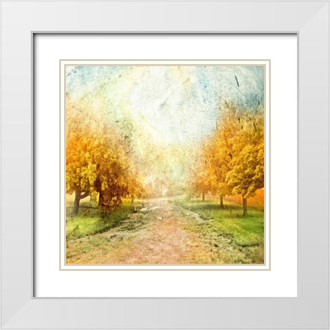 Oak Path White Modern Wood Framed Art Print with Double Matting by Mabat, Ynon