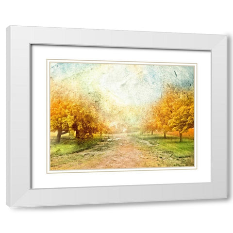 Oak Path White Modern Wood Framed Art Print with Double Matting by Mabat, Ynon