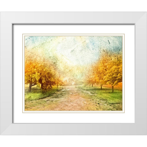 Oak Path White Modern Wood Framed Art Print with Double Matting by Mabat, Ynon
