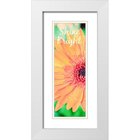 Shine Bright Daisy White Modern Wood Framed Art Print with Double Matting by Bryant, Susan