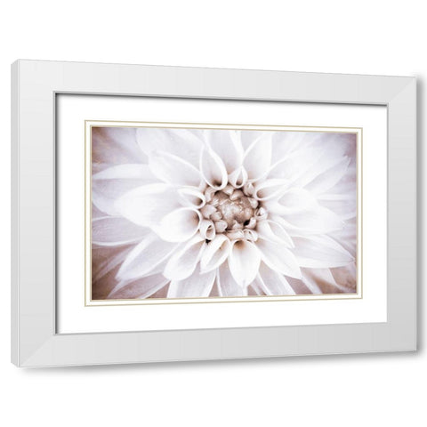 Bright White Bloom II White Modern Wood Framed Art Print with Double Matting by Bryant, Susan