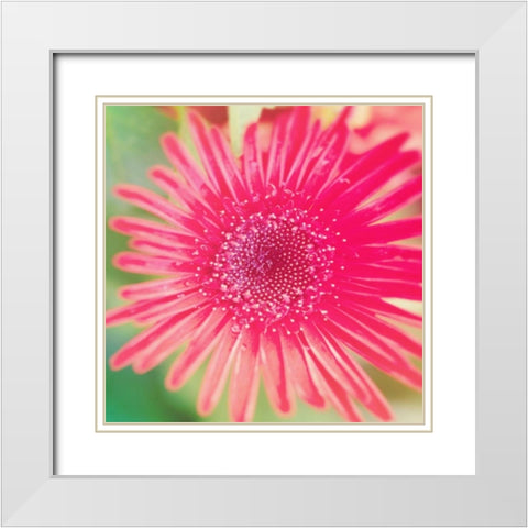 Pink Fun II White Modern Wood Framed Art Print with Double Matting by Bryant, Susan