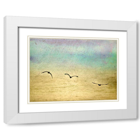Seagulls in the Sky II White Modern Wood Framed Art Print with Double Matting by Mabat, Ynon
