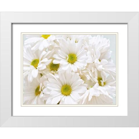 Bunch of White Daisies White Modern Wood Framed Art Print with Double Matting by Peck, Gail