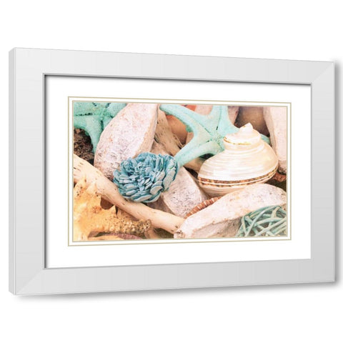 Bundle of Shells II White Modern Wood Framed Art Print with Double Matting by Bryant, Susan