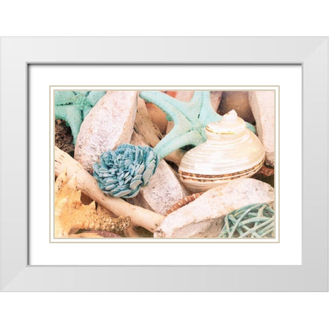Bundle of Shells II White Modern Wood Framed Art Print with Double Matting by Bryant, Susan