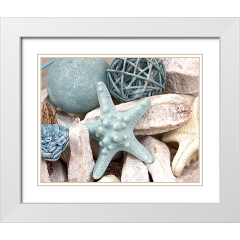 Bundle of Shells I White Modern Wood Framed Art Print with Double Matting by Susan Bryant
