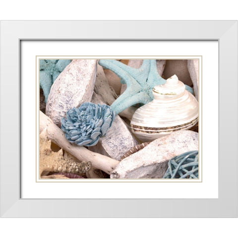 Bundle of Shells II White Modern Wood Framed Art Print with Double Matting by Bryant, Susan