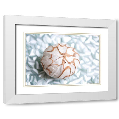 Shimmer Shells I White Modern Wood Framed Art Print with Double Matting by Bryant, Susan
