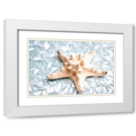 Shimmer Shells II White Modern Wood Framed Art Print with Double Matting by Bryant, Susan