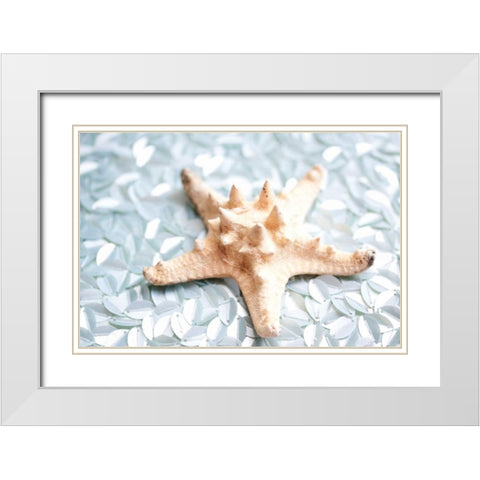 Shimmer Shells II White Modern Wood Framed Art Print with Double Matting by Bryant, Susan