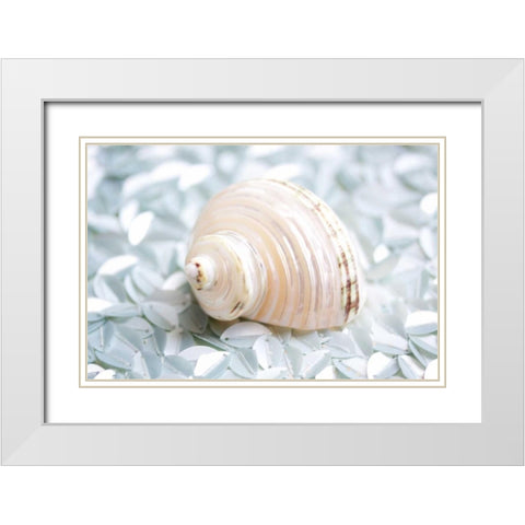 Shimmer Shells IV White Modern Wood Framed Art Print with Double Matting by Bryant, Susan