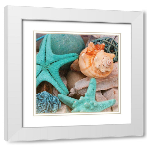 Bundle of Shells Square I White Modern Wood Framed Art Print with Double Matting by Bryant, Susan
