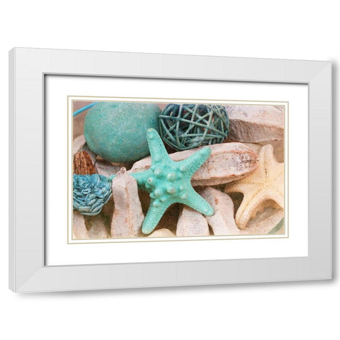 Bundle of Shells I White Modern Wood Framed Art Print with Double Matting by Bryant, Susan