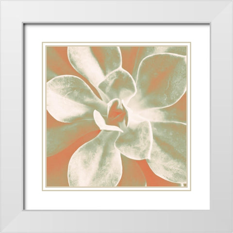 Tropical Succulent White Modern Wood Framed Art Print with Double Matting by Bryant, Susan