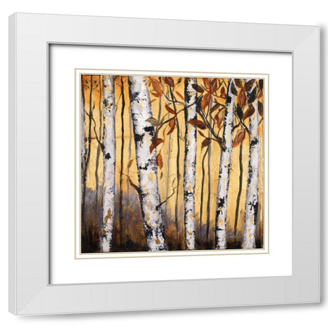 Birchwood Trees on Gold II White Modern Wood Framed Art Print with Double Matting by Pinto, Patricia