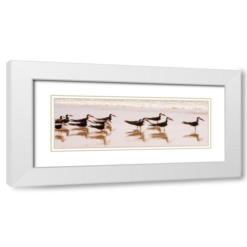 Black Skimmers I White Modern Wood Framed Art Print with Double Matting by Mansfield, Kathy