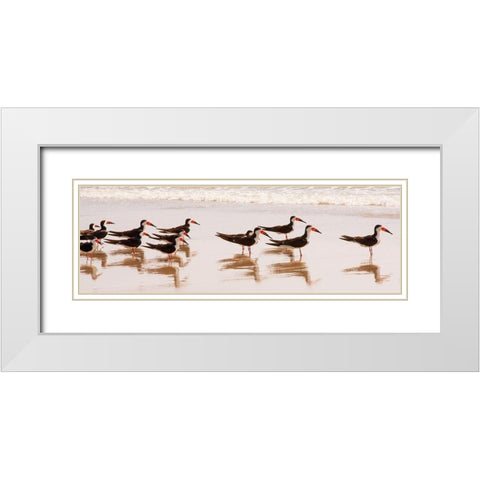 Black Skimmers I White Modern Wood Framed Art Print with Double Matting by Mansfield, Kathy