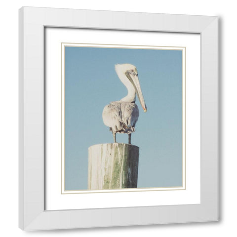 Pelican Post Muted I White Modern Wood Framed Art Print with Double Matting by Mansfield, Kathy