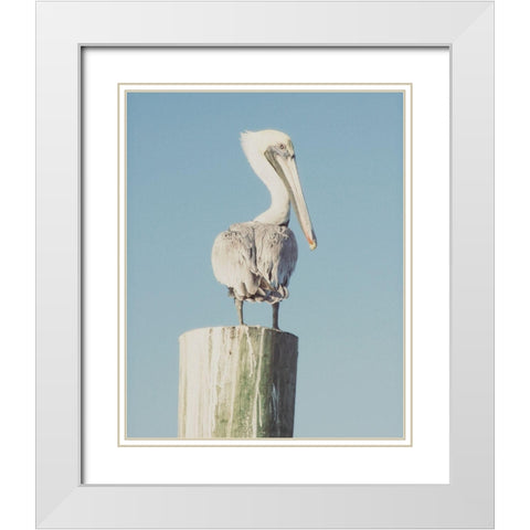 Pelican Post Muted I White Modern Wood Framed Art Print with Double Matting by Mansfield, Kathy