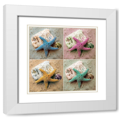 Colorful Starfish White Modern Wood Framed Art Print with Double Matting by Mansfield, Kathy