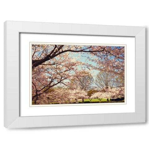 Blossom Beauty I White Modern Wood Framed Art Print with Double Matting by Mansfield, Kathy