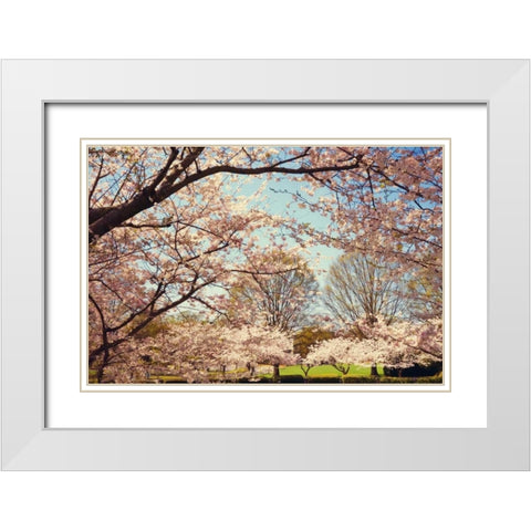 Blossom Beauty I White Modern Wood Framed Art Print with Double Matting by Mansfield, Kathy