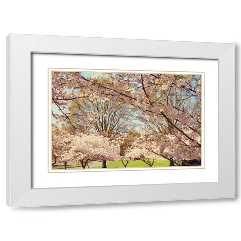 Blossom Beauty II White Modern Wood Framed Art Print with Double Matting by Mansfield, Kathy
