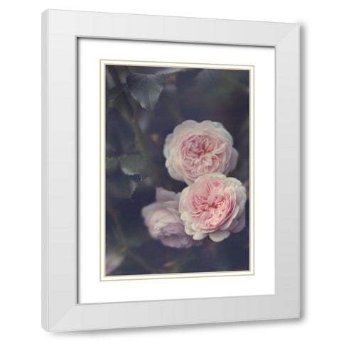 Hiding Blooms White Modern Wood Framed Art Print with Double Matting by Gardner, Sarah