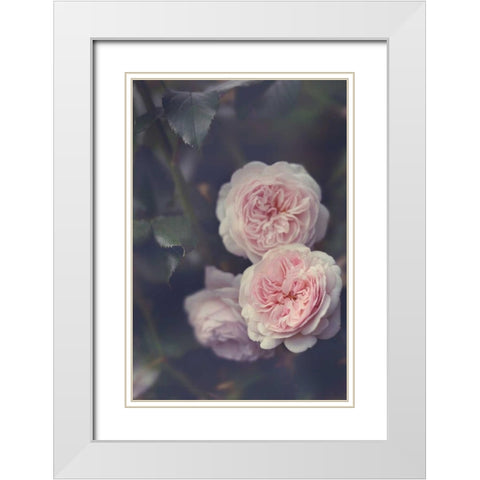 Hiding Blooms White Modern Wood Framed Art Print with Double Matting by Gardner, Sarah