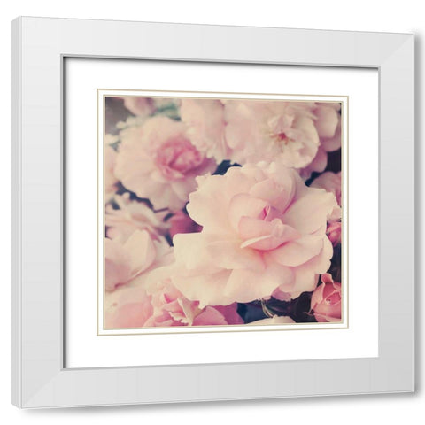 Pink Blossoms I White Modern Wood Framed Art Print with Double Matting by Gardner, Sarah