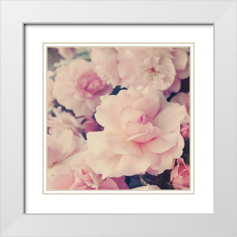 Pink Blossoms I White Modern Wood Framed Art Print with Double Matting by Gardner, Sarah