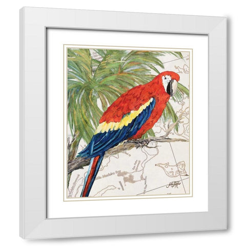 Another Bird in Paradise I White Modern Wood Framed Art Print with Double Matting by DeRice, Julie